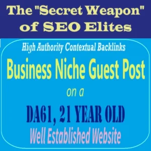 Premium SEO Guest Post on my DA60 Plus Business Blog with Dofollow backlink