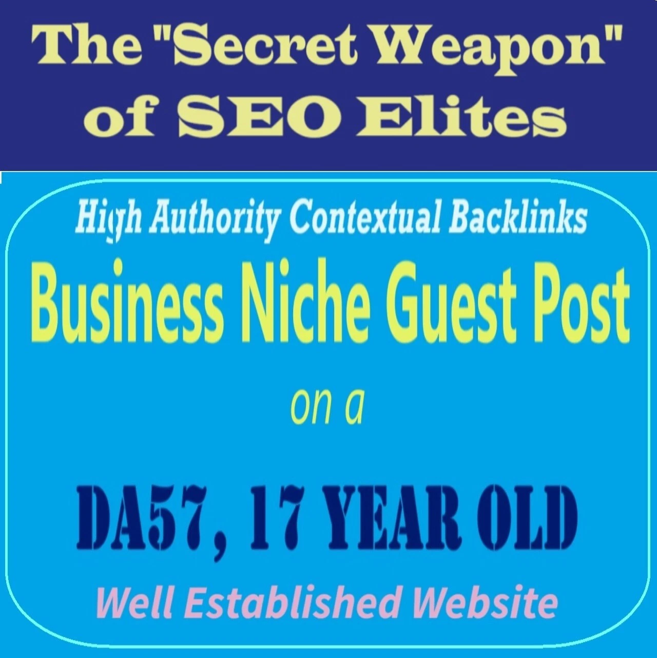 Premium SEO Guest Post on my DA50 Plus Business Blog with Dofollow backlink